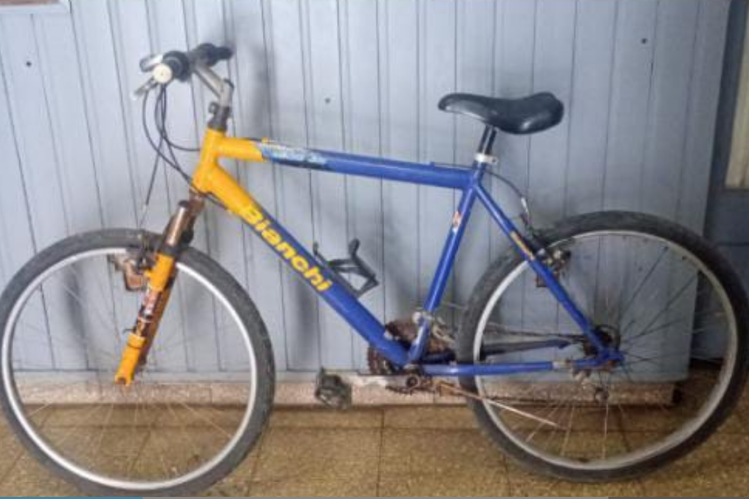 Diseño sin título (5)