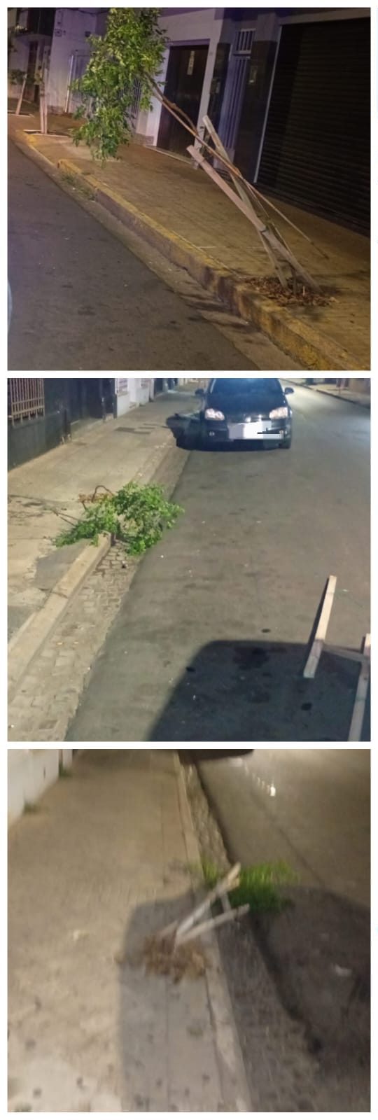 WhatsApp Image 2026-03-03 at 07.31.22