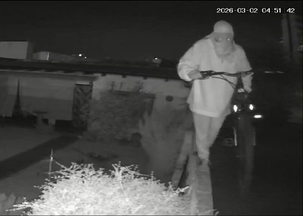 WhatsApp Image 2026-03-03 at 07.49.54