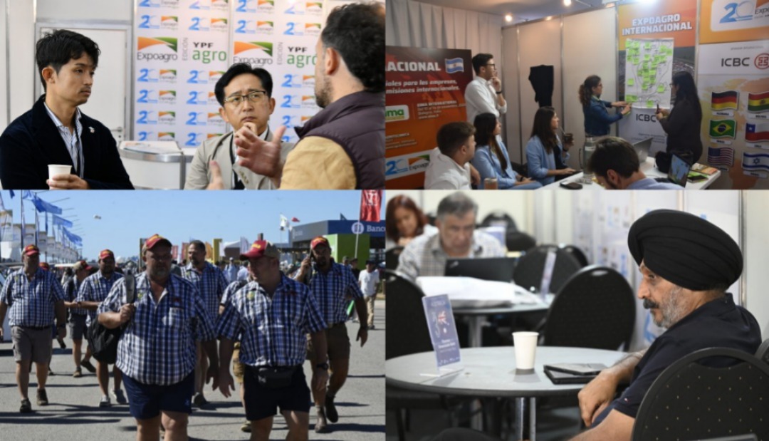 WhatsApp Image 2026-03-14 at 08.43.47