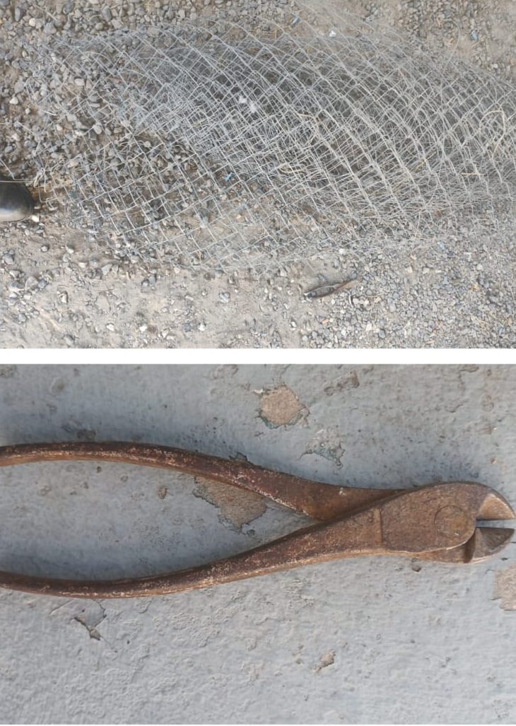 WhatsApp Image 2026-03-16 at 07.03.30