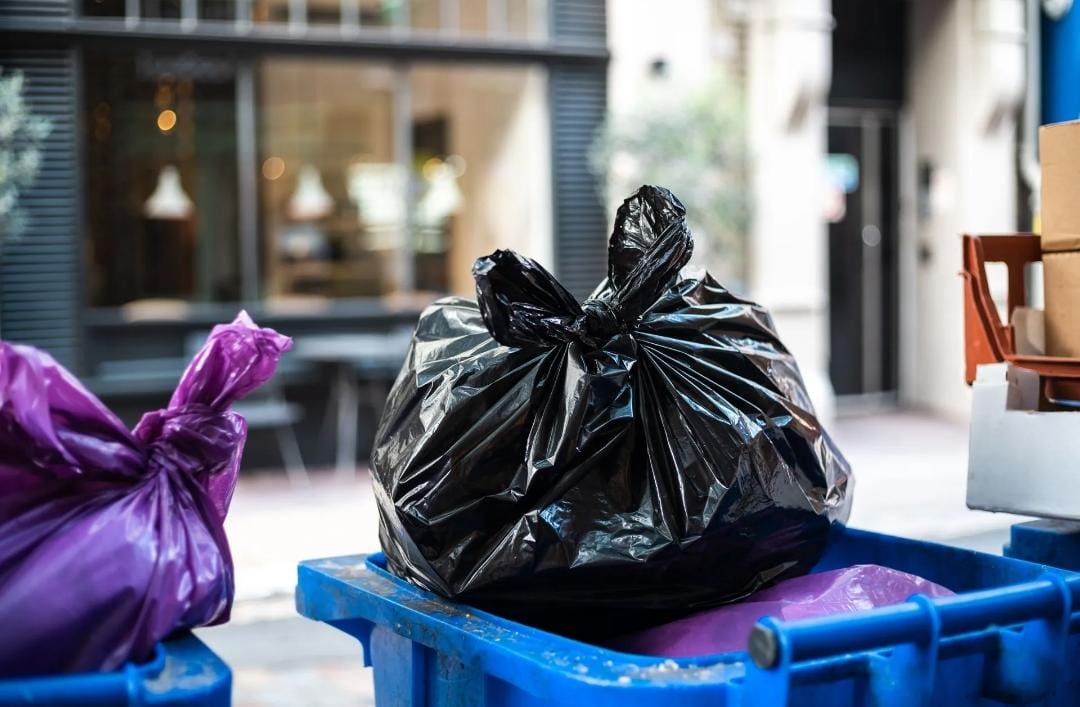 WhatsApp Image 2026-03-20 at 18.46.12