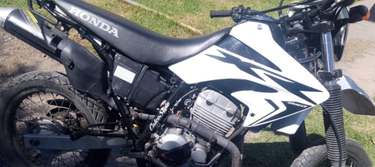 WhatsApp Image 2026-03-24 at 08.00.50