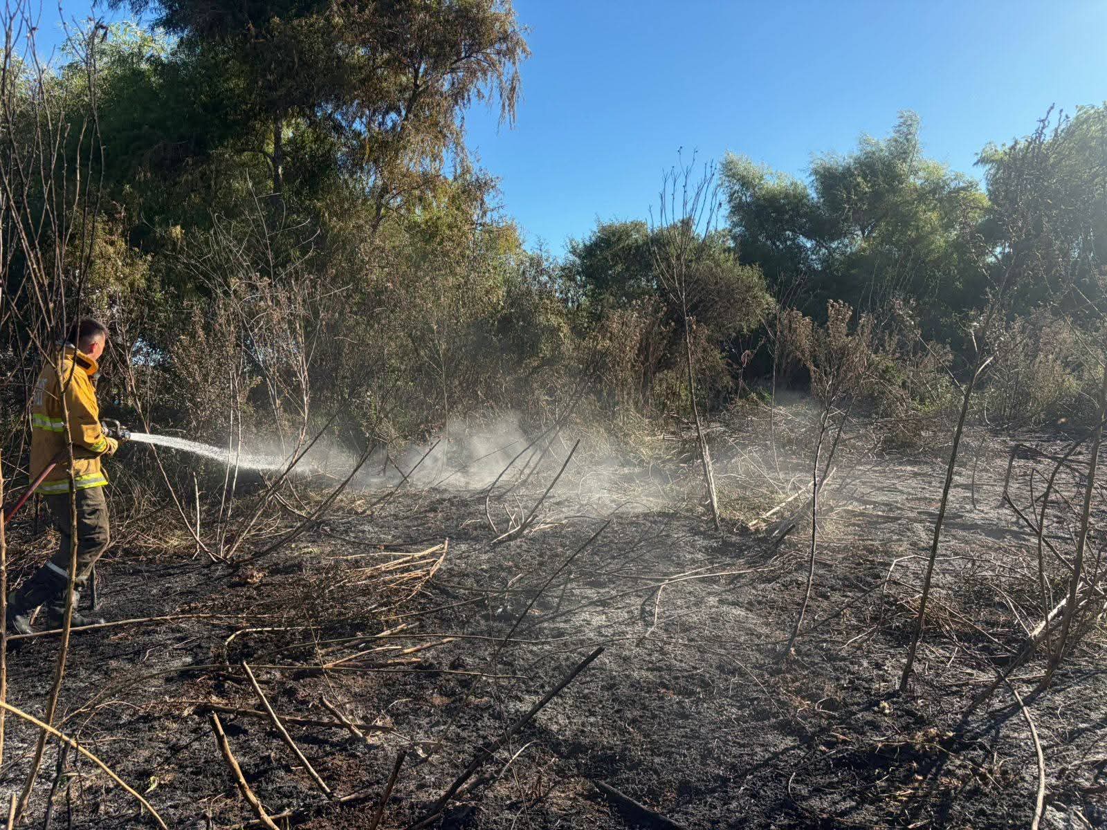 WhatsApp Image 2026-03-24 at 9.33.13 PM