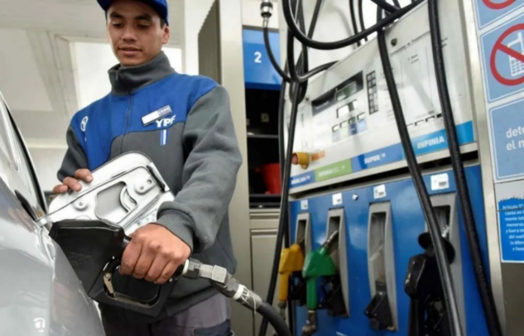 WhatsApp Image 2026-03-28 at 10.01.42