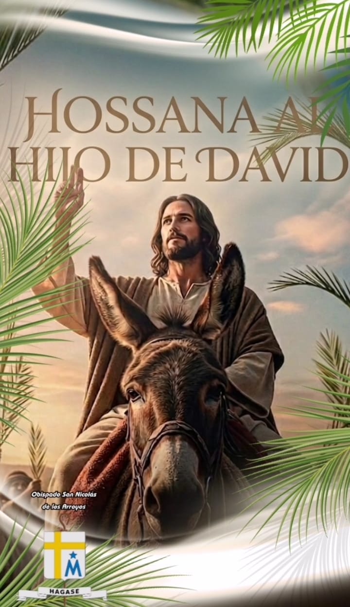 WhatsApp Image 2026-03-28 at 19.34.54