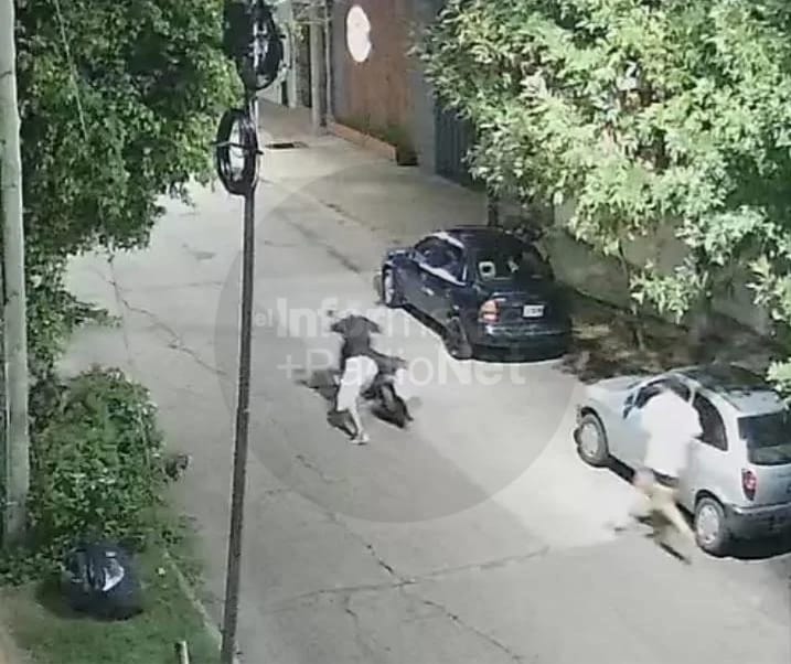 WhatsApp Image 2026-03-31 at 10.51.11 PM