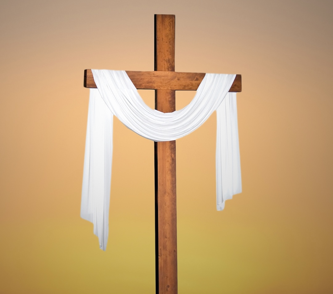 Copia de Copia de Le robaron la bicicleta a