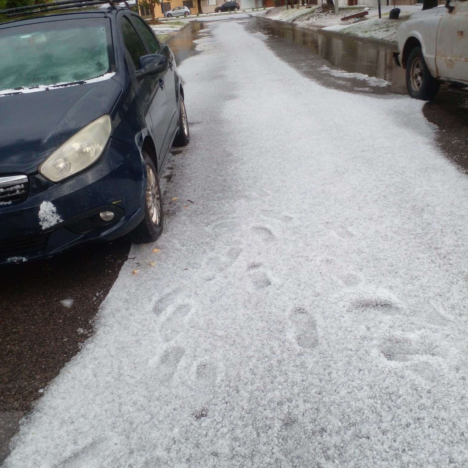 WhatsApp Image 2026-04-25 at 17.19.17