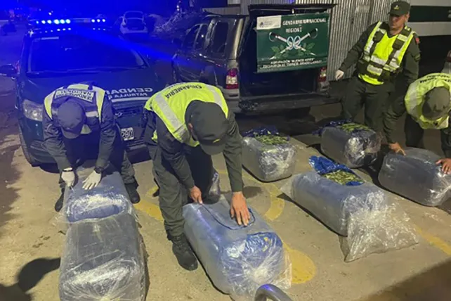 whatsapp-image-2026-04-24-at-13626-pm