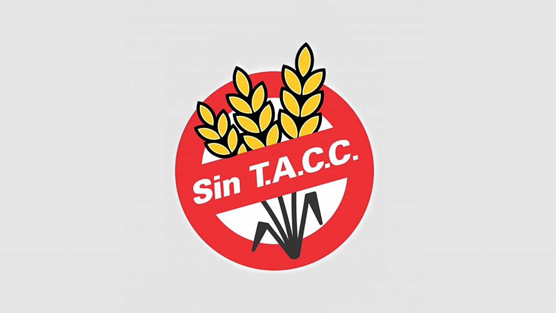 anmat_sintacc_f_02_0