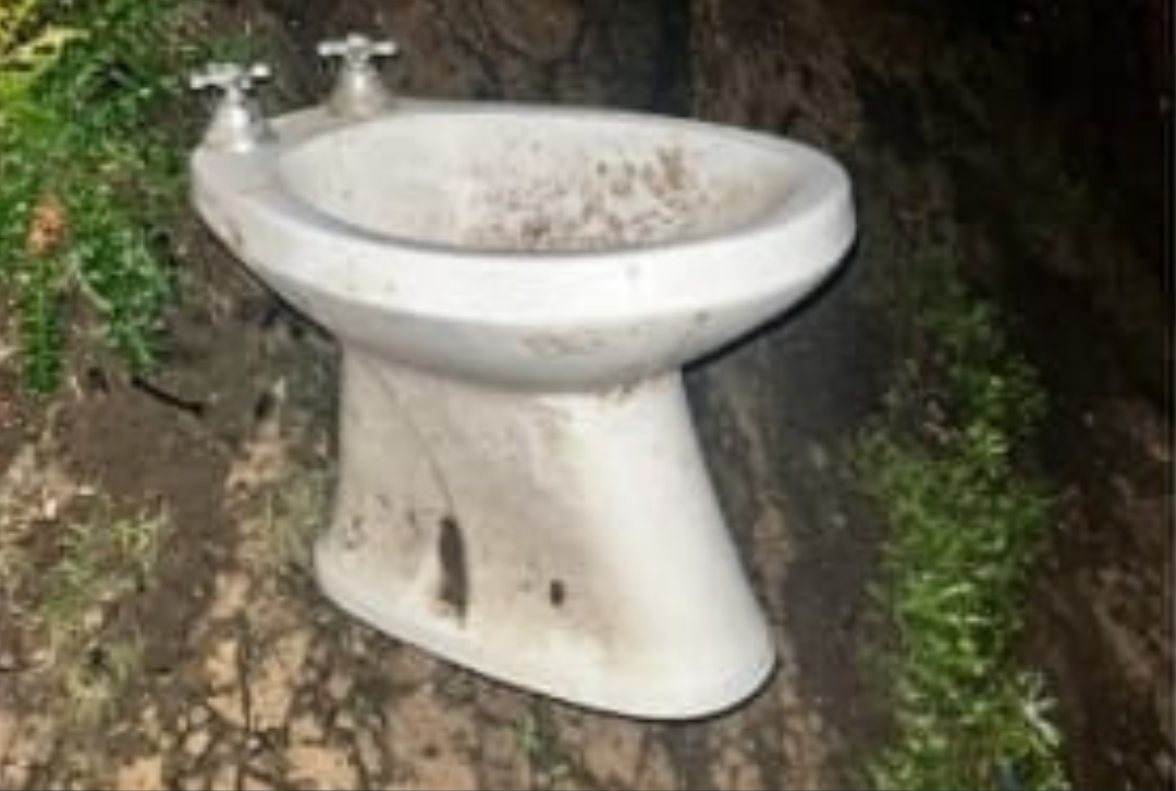 Saltó las rejas de un cerco perimetral y sustrajo un bidet del galpón de una vivienda de zona sur (1)