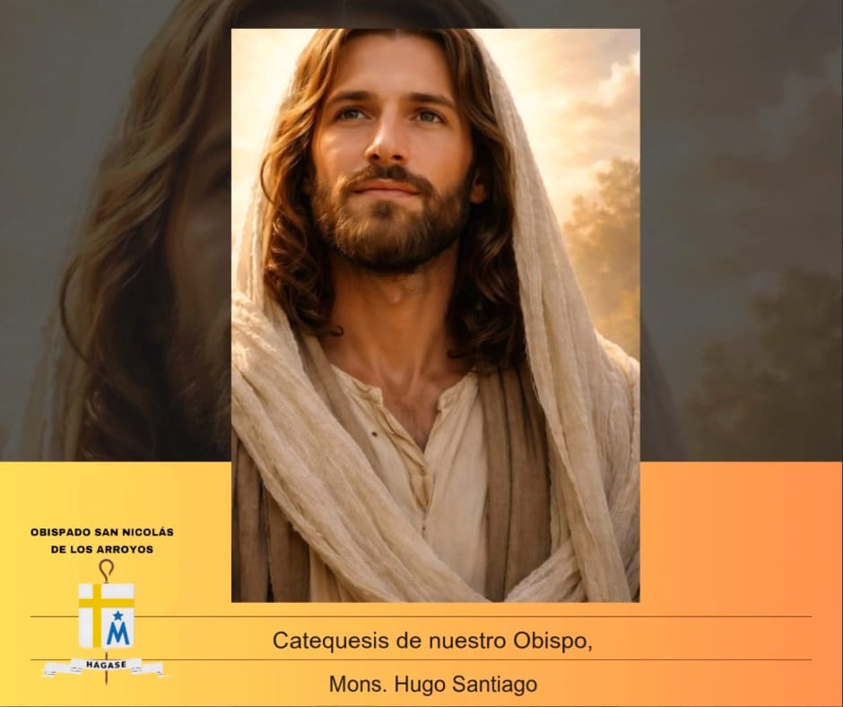 WhatsApp Image 2026-08-15 at 11.51.10