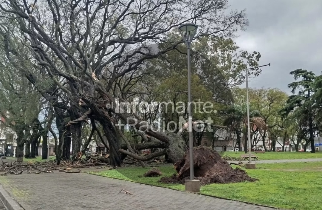 Copia de Copia de Seis personas fueron trasladadas al hospital a raíz de tres accidentes registrados