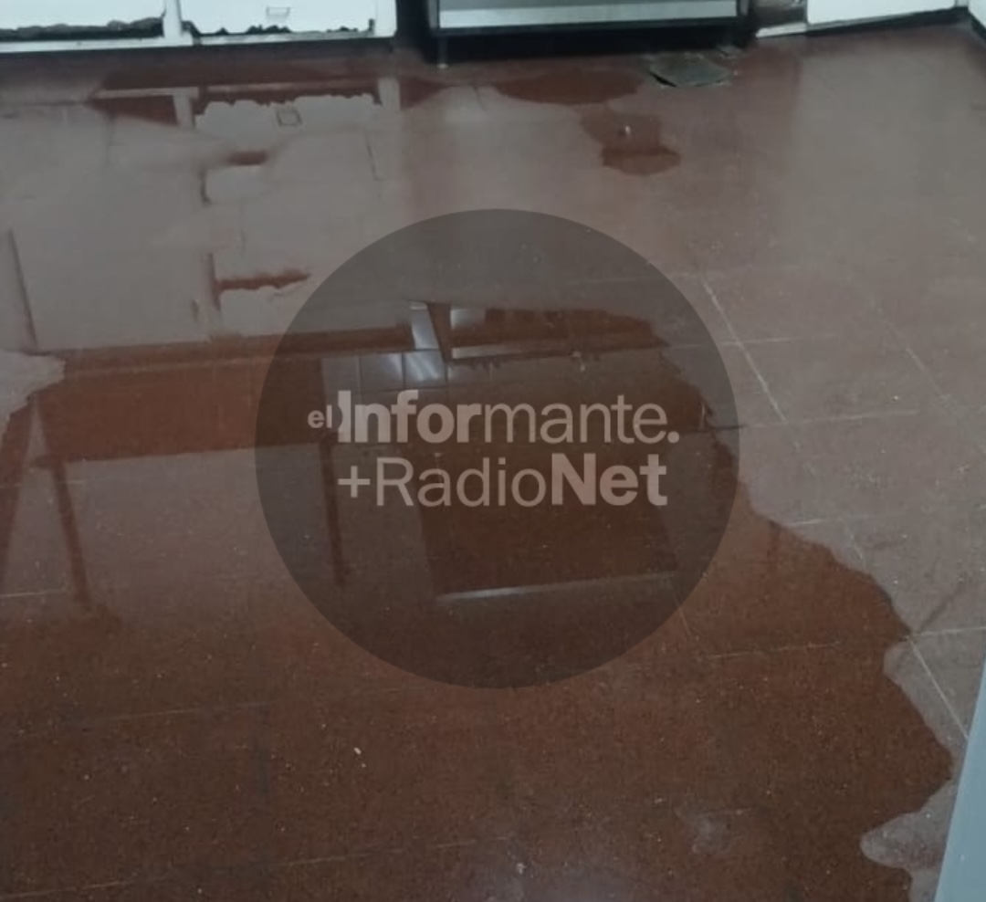 Copia de Dos delincuentes encapuchados le sustrajeron la cartera y $300.000 a una mujer en la calle