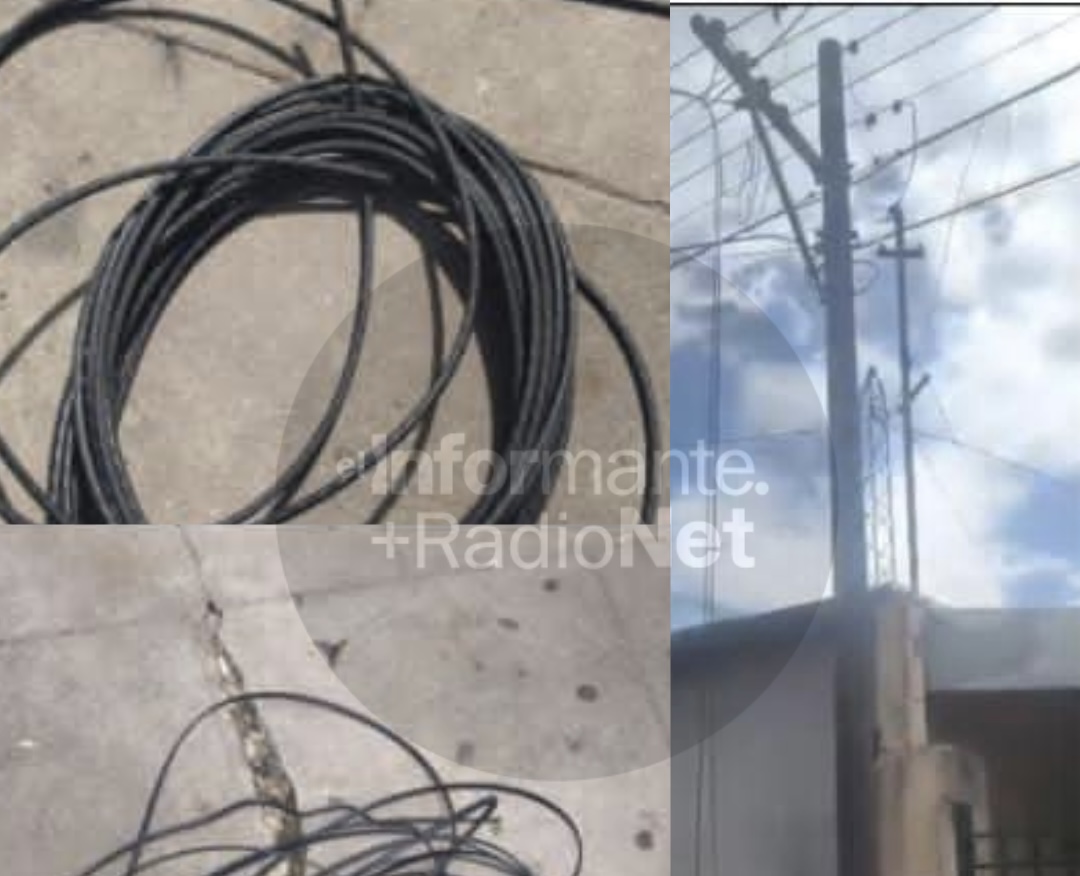 Robaron 100.000 pesos y celulares en un comercio